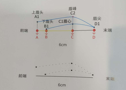 怎样快速在纸上画标准眉？