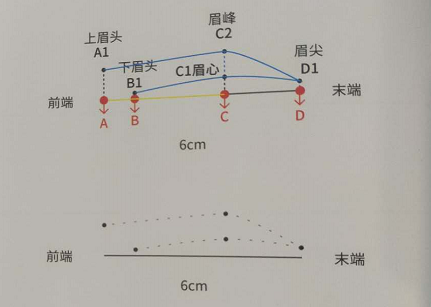 五点定位一字平眉纸上画法