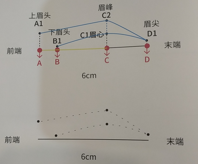 怎样快速在纸上画小欧眉