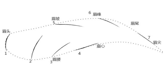 教你最简单的线条排列